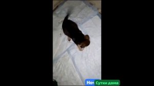 Прошли сутки. Что изменилось? Пока - ничего.