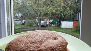 Бургер из Ашана (Сытно Вкусно) Сергиев-Посад обзор #обзор