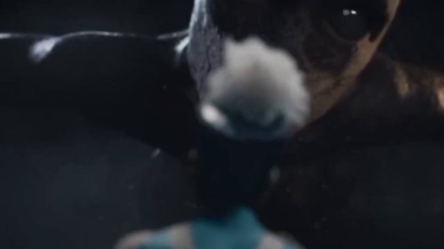 Stray kids- Северный флот. 26 апреля 2025 г. смотреть онлайн