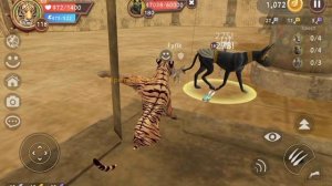 Баг на Анубиса. |Wild Craft