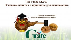 2025.Что такое СКУД. Основные понятия и принципы для начинающих.
