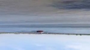 Прыжок на водных лыжах