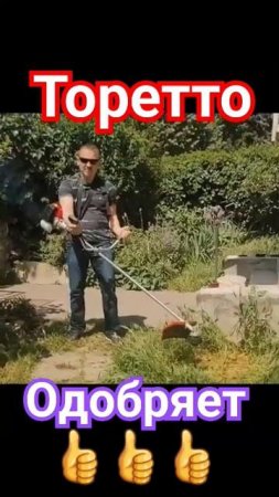 Торетто одобряет