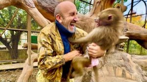 Люська выхватила у Влада ключи от машины и телефон и одним щелчком ПРОКУСИЛА ДИСПЛЕЙ!