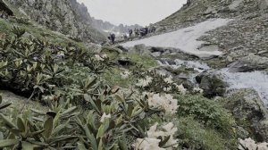 Архыз-Загедан-Теберда-Домбай 2024