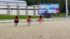 Эквирос 2025_10