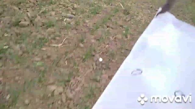 Пуля "БОЛТ" на разном снаряжении, отстрел на 50 метров. смотреть онлайн