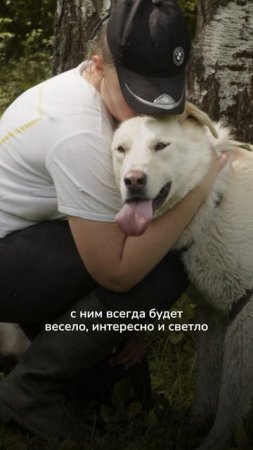 Встречайте Альта — специального гостя фестиваля «Собаки в городе»!
