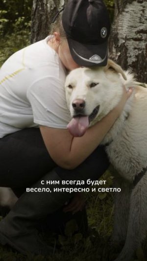 Встречайте Альта — специального гостя фестиваля «Собаки в городе»!