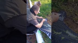 Арина запускает с папой воздушного змея