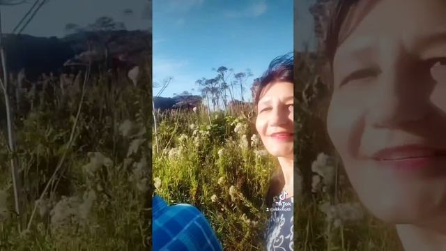 Ну,что красивая поехали кататься #shortsvideo #рекомендую #п