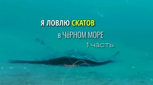 Я ловлю скатов в Черном море на морской рыбалке в Геленджике. Подводная съемка.