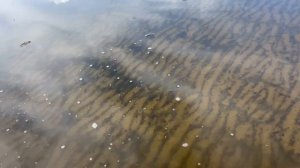 Соленое озеро в Завьялово 4.06.2025 Температура воды 🌡️. Температура воздуха 30 градусов