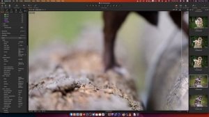 Viltrox 135mm F1.8 LAB Z + Nikon Z9: личное мнение и опыт использовани