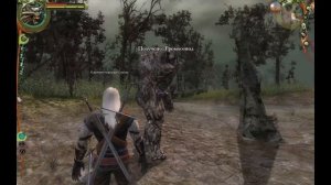 The Witcher s 33 Дорогие цветы