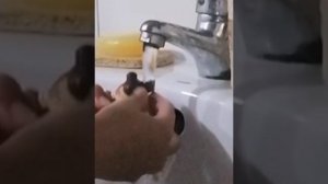 Чудеса в лол тауне 5 серия 4 сезона