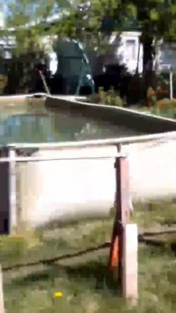 Хорошо в деревне летом! Пристает навоз к штиблетам. Хорошо в краю родном! Пахнет сеном и гумном...