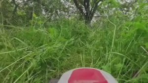 "Мы не косим, мы траву валим." 🙈