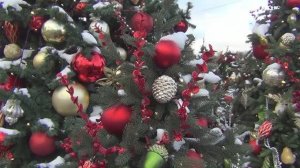 ч. 1.Предновогодний и предрождественский концерт фестиваля Свой круг 24.12.2022