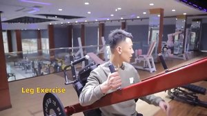 Приседания маятниковые Gymmaster MP-8141