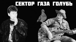 СЕКТОР ГАЗА - ГОЛУБЬ (COVER)