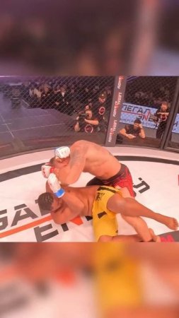 Лучшие нокауты Подпишись и ставь лайк #ufc #mma #youtube #sports #tiktok #shortsvideo #russia #box