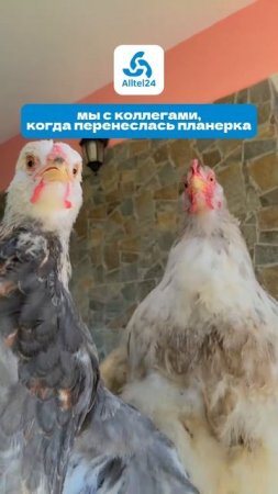 У кого так же?😂😂