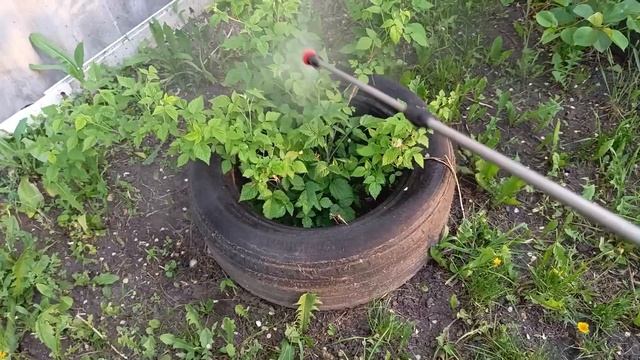 Обработка сада биопрепаратами 04.05.25 #бионаватика #горо смотреть онлайн