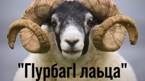 Шейх Иброх1им  Леймоев - Г1урбаг1 лаьца"