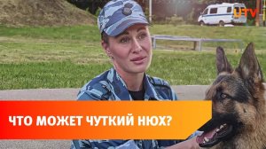 Найти след и запрещенные вещества. В Уфе прошли соревнования кинологов