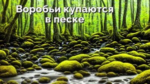 Воробьи купаются в песке