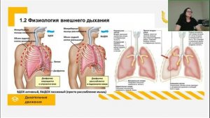 Физиология человека общая, возрастная, спортивная 2 часть