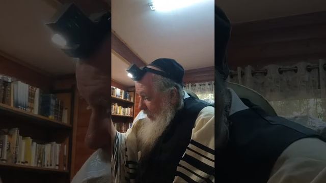 Танах с равом Моше Давид Валье смотреть онлайн