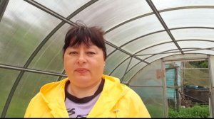 ПОЛУЧИЛА ПОСЫЛКУ С НОВЫМИ РАСТЕНИЯМИ