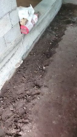 1000046448.mp4. Полы по грунту