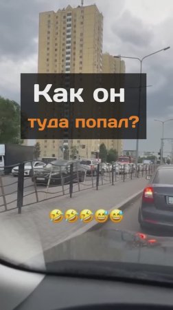 Как он туда попал?
