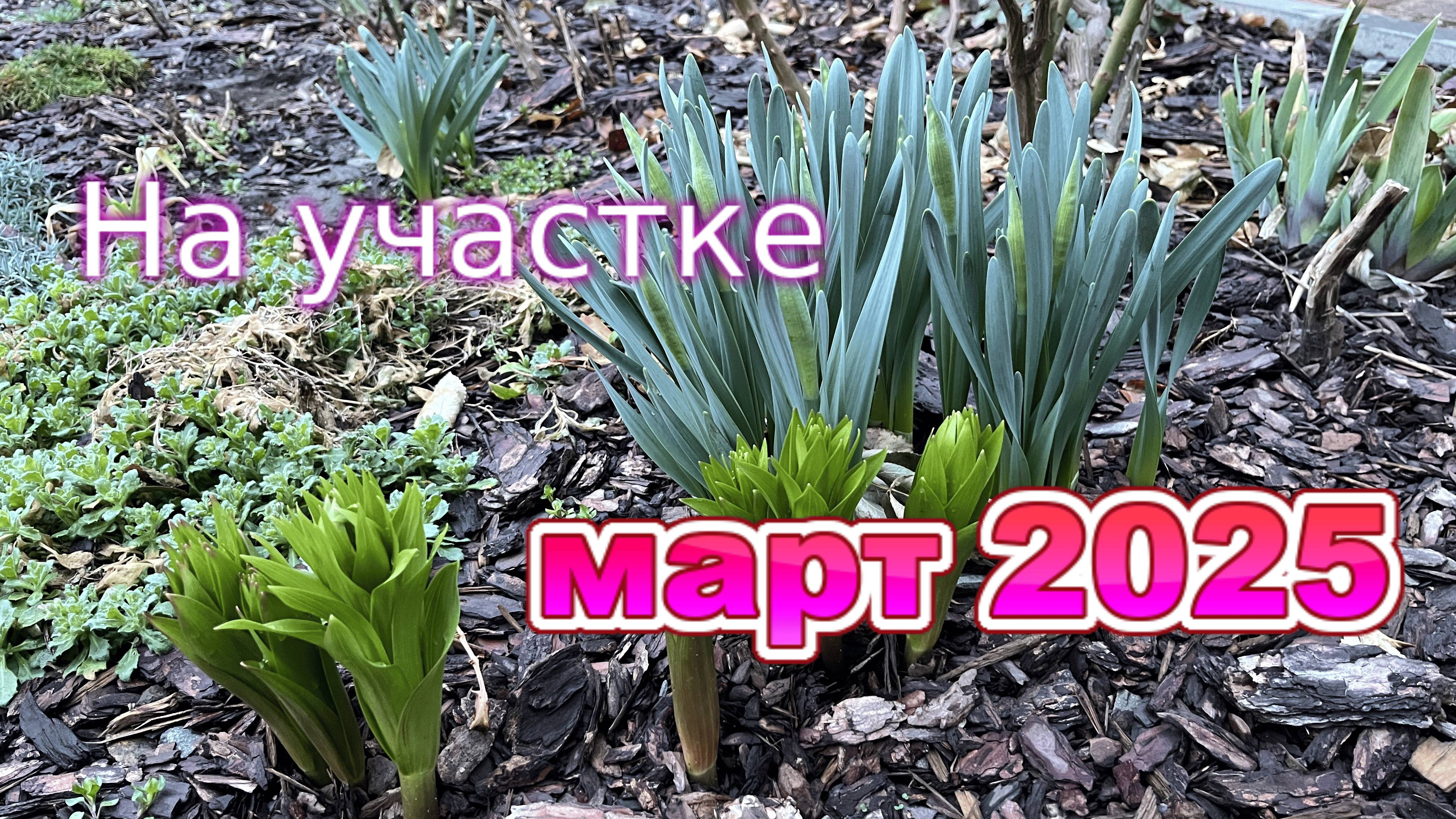март 2025