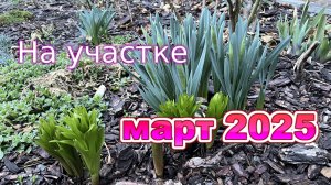 март 2025