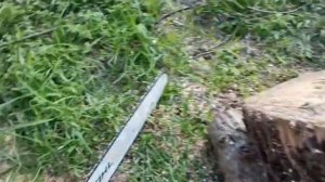 Ms660 Штиль , Отзыв покупателя