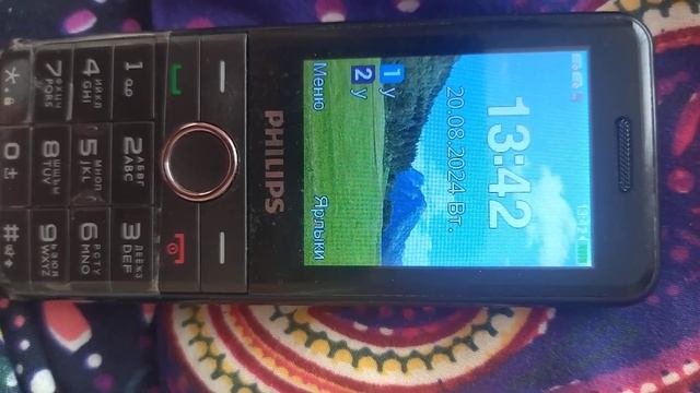 Вы поставили дату 20.08.2024. Philips Xenium E172