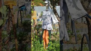 🧹🧺🏡 Дела дачные Июнь 2025 Видеодневник