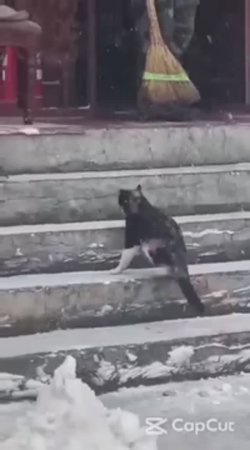 Когда на улице очень холодно!
