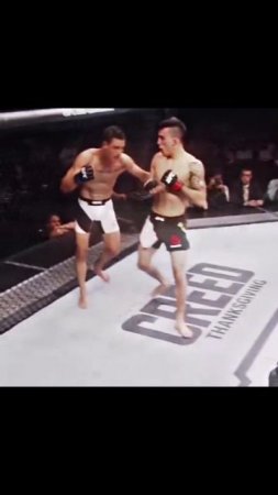 Лучшие нокауты Подпишись и ставь лайк #ufc #mma #youtube #sports #tiktok #shortsvideo #russia #box