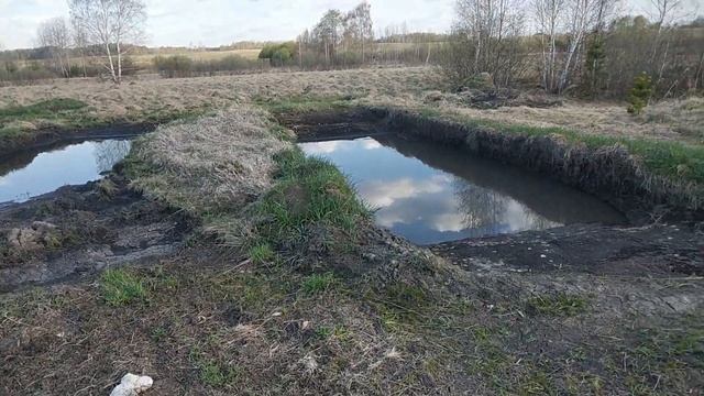 4 Симпозиум. Сиберия. Мелиорация. смотреть онлайн