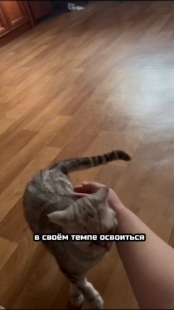 Независимое сердечко начало таять! | Аришка