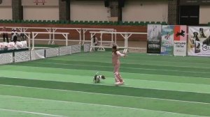 20250518 Яна и Мир. Прогресс фристайл. МаксимаПарк