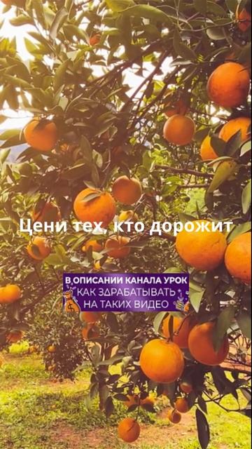 Не верь отговоркам!