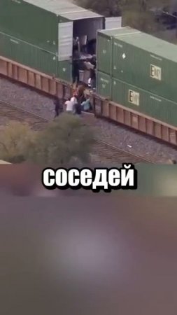 i11ushenka (145)