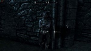 The Elder Scrolls V Skyrim: Джари-Ра