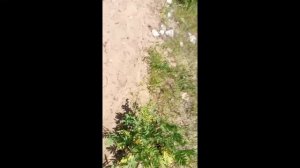 путешествие на лодке по Оке 
первое моё видео.